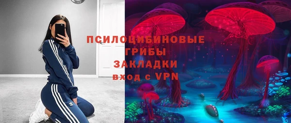 дживик Аркадак