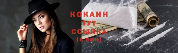 дживик Аркадак