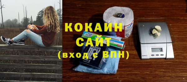 дживик Аркадак